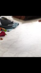 Gypsy Chocolate Arm with Walnut