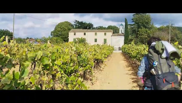 Chasing Wonders Trailer #1 (2021) | Movieclips Indie