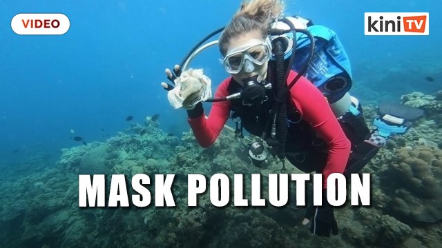Face masks add to sea pollution