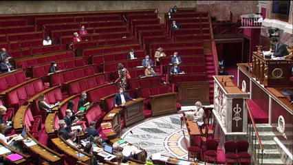 2ème séance : Bioéthique (nouvelle lecture) (suite) - Lundi 7 juin 2021