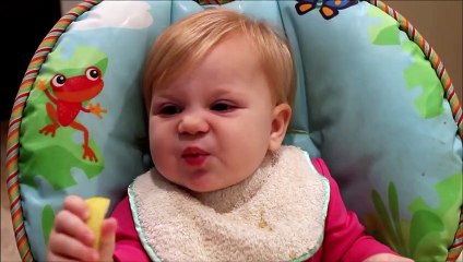 Babies Eating Lemons for the First Time Compilation 2020