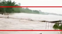 Assam: Wooden bridge washed away by floodwaters