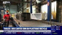 Impact :Thales fabrique des cartes SIM en plastique recyclé, par Cyrielle Hariel - 08/06