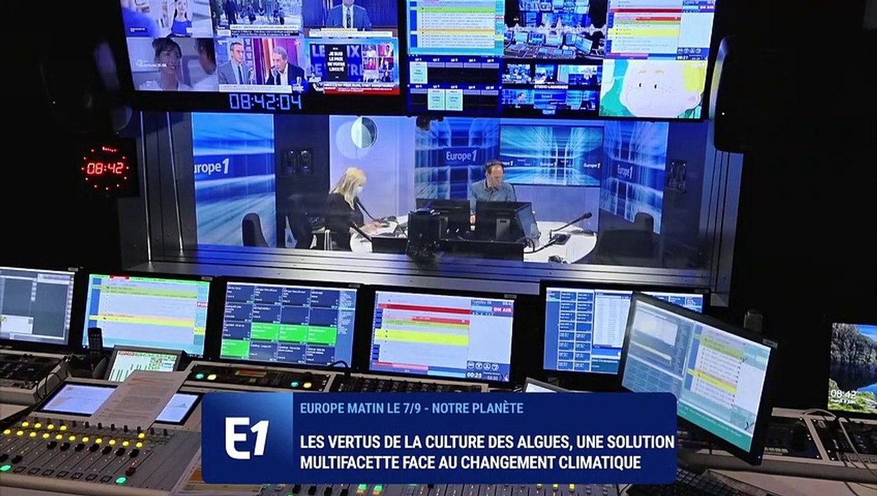 Culture des algues : une solution multifacette face au changement climatique