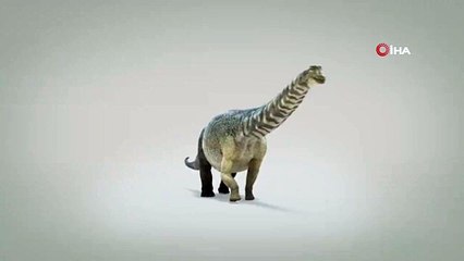 - Avustralya’da kıtanın en büyük dinozoru keşfedildi- Boyu 30 metre, ağırlığı 67 ton