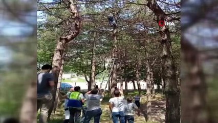 - Ağaçta mahsur kalan kedi ekiplerin omzunda aşağı indi