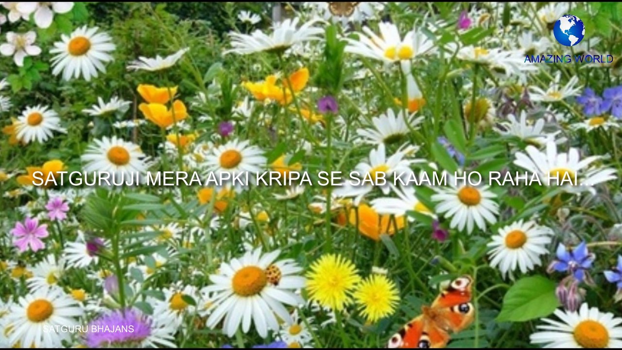 सतगुरु महाराजी भजन |  Prem rawat bhajan - satguruji mere apki kripa se sab kaam ho raha hai bhajans |  Guru maharaji bhajan | Satguru maharaji bhajans