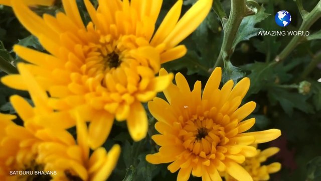 सतगुरुजी का भजन | Prem rawat bhajans | Darshan ki pyasi akhiya mix superhit bhajans | | Guru maharaji bhajan | Satguru maharaji bhajans