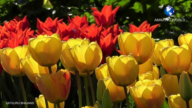 सतगुरुजी का भजन | Prem rawat bhajans - Daata de sahara mix superhit bhajans | Guru maharaji bhajan | Satguru maharaji bhajans