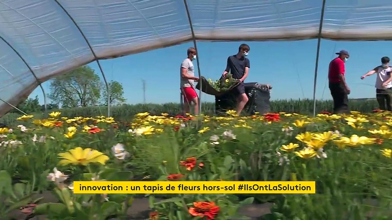 Des tapis de fleurs pour embellir les communes et faciliter le travail des jardiniers