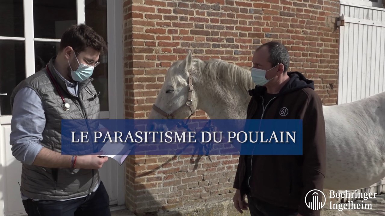 Le parasitisme du poulain
