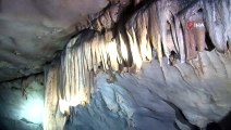 Güneydoğu Anadolu Bölgesinde ilk defa mağara çekirgesi görüldü