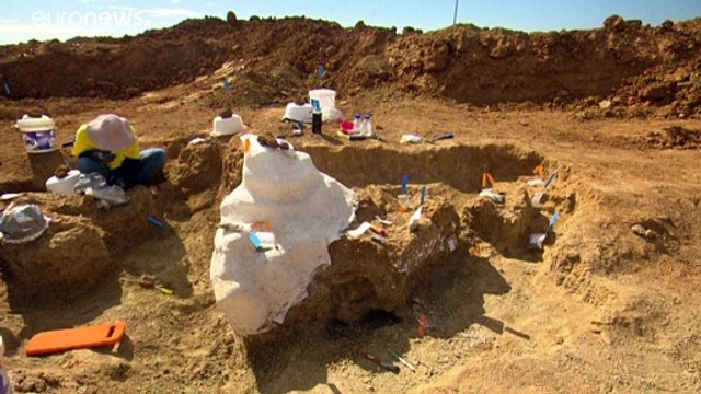 I paleontologi hanno scoperto una nuova specie di dinosauro gigante