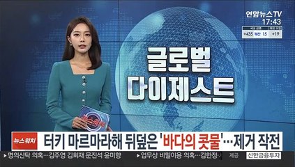 터키 마르마라해 뒤덮은 '바다의 콧물'…제거 작전