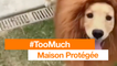 #TooMuch - Maison Protégée - Orange