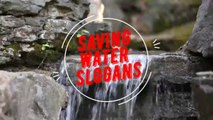 Best Save Water Slogans - Catchy Water Conservation Slogans