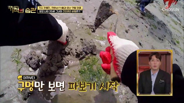 한혜진이 연하남(?)들을 데리고 간 곳은 갯벌?! TV CHOSUN 210608 방송