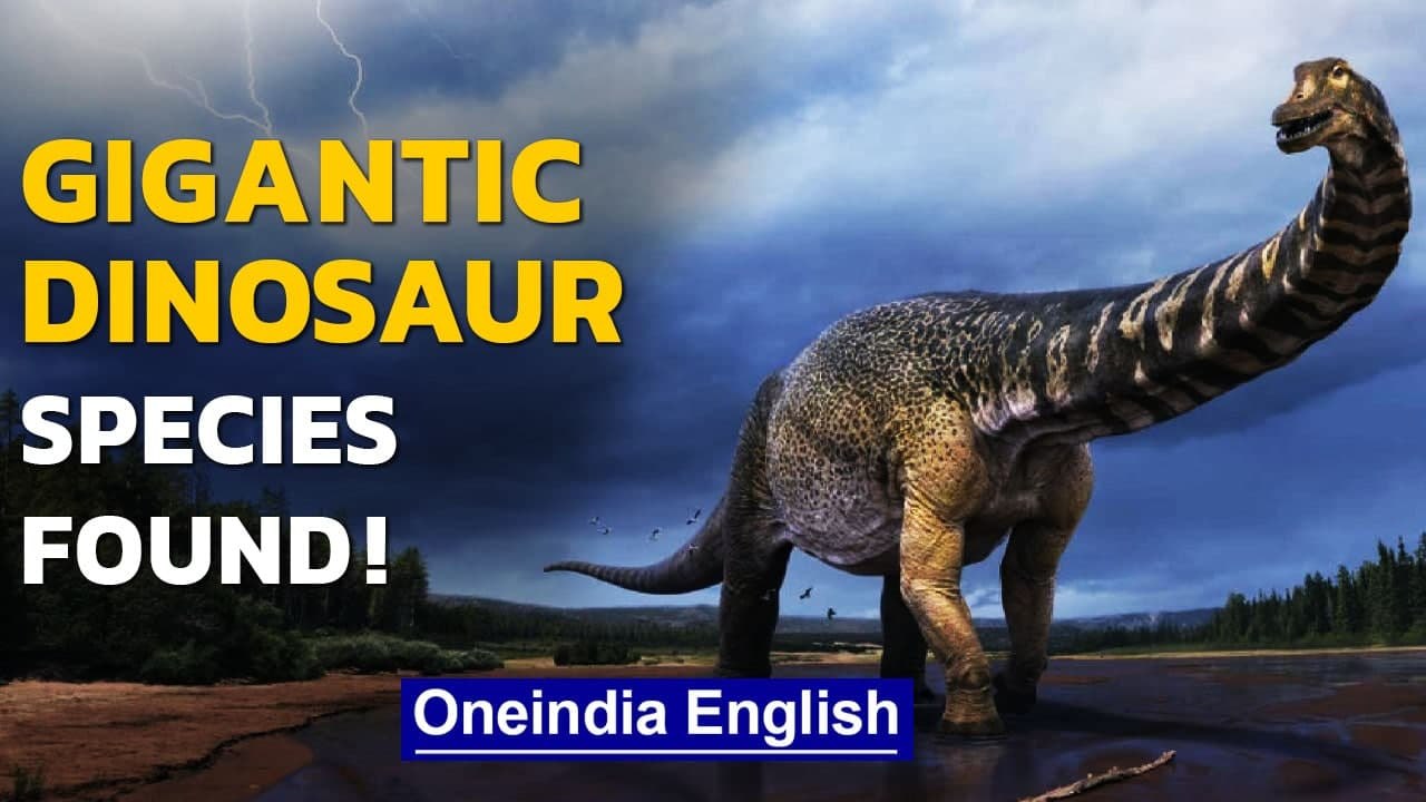 Australia: New dinosaur species ‘Cooper’ discovered; One of the largest in the world | Oneindia News