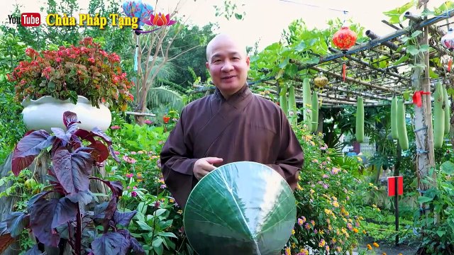 Bài Thuốc Trị Đau Nhức Xương Khớp Khi Trời Lạnh Phong Tê Thấp, Sưng Khớp Rất Hiệu Quả Chùa Pháp Tạng