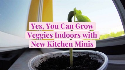Yes, You Can Grow Veggies Indoors with New Kitchen Minis