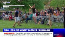 Euro de football: les images de la joie des supporters français lorsque l'Allemagne a marqué contre son camp