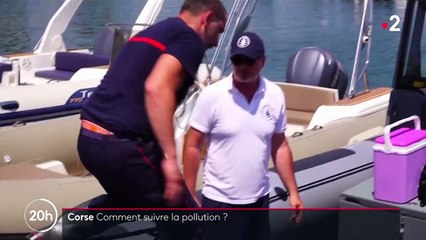Pollution en Corse : la nappe d'hydrocarbures dérive vers le sud