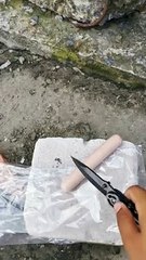 Cat Decides to Take the Larger Half of the Hot Dog