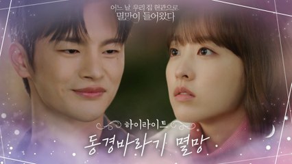 10화#하이라이트# //멜로눈빛 장전//박보영만 바라보는 박력&서윗 댕댕이 서인국