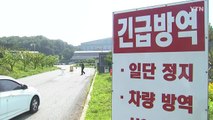 안성 물류센터·강남 부동산 업체...사업장 집단감염 증가 / YTN