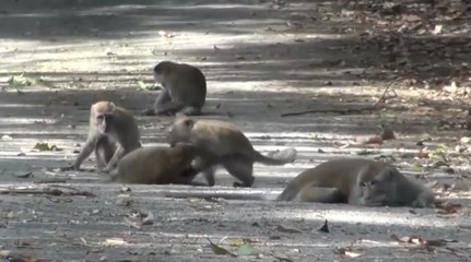 เรื่องพลบค่ำ ช่วงที่ 2 วันอังคารที่ 8 มิ.ย.64