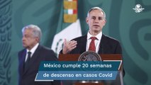 Avanzaremos más rápido con vacunación Covid en Quintana Roo y Baja California: López-Gatell