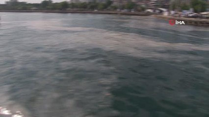 Kocaeli Büyükşehir Belediye Başkanı Büyükakın: "Marmara eski sağlıklı durumuna kavuşturulacak"