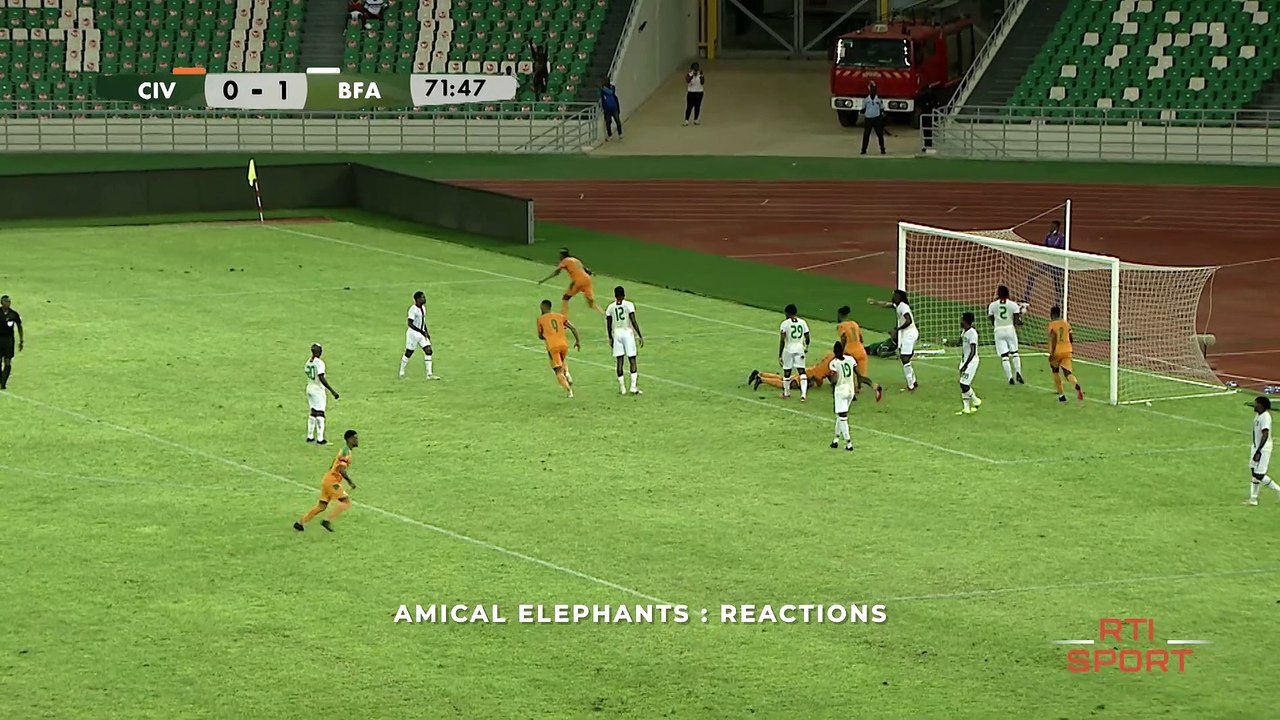 Amical éléphants : Réactions