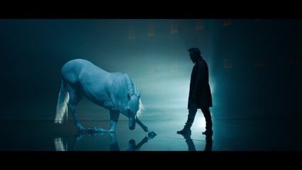 Florent Pagny - L'instinct