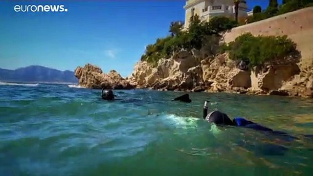 Día Mundial de los Océanos: las principales amenazas a su sostenibilidad