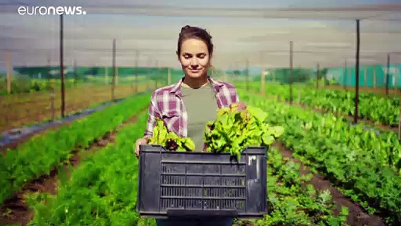 Die fleißigen Bienen sorgen für Milliardenumsätze