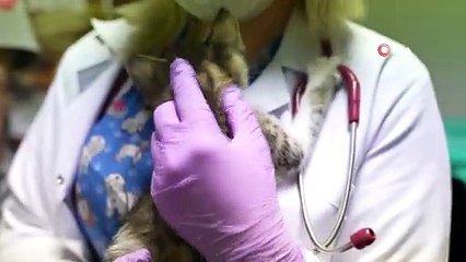 Emine Erdoğan’dan Dündar’a ‘vakıf insan’ ödülü