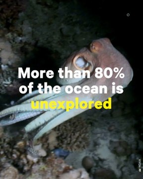 Activist Fights to Stop Deep Seabed Mining