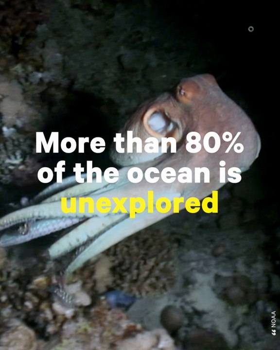 Activist Fights to Stop Deep Seabed Mining