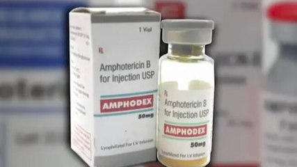 Black fungus drugs scam: How is Amphotericin available in black market?