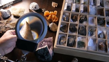 Megalodon Bigger Than We Thought? New Study Reveals Just That