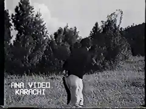 Dil Mera Dharkan Teri Kiya Hai Jo Pyar To Padega Nibhana Ahmad Rushdi Waheed Murad Shamim Ara - YouTube