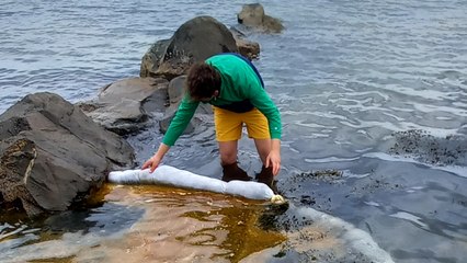 Leftover Hair From Salons Used To Mop Up Oil Spills