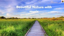 Peaceful Relaxing  Instrumental music with nature  views