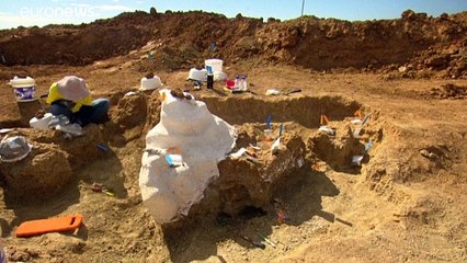 Ученые определили вид одного из крупнейших динозавров в мире