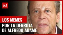 ¡A Carlos Trejo le gusta esto! Reaccionan con memes a derrota de Alfredo Adame en elecciones