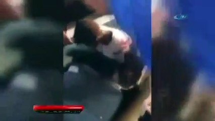 Kaçak giriş yaparken valizde enselendi