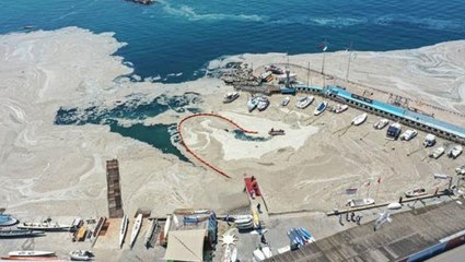 Bakanlar Adil Karaismailoğlu ve Bekir Pakdemirli'den deniz salyası için iki farklı çözüm önerisi