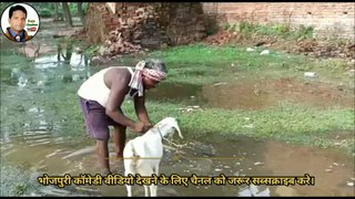 Bhojpuri comedy video | बकरिया मछरी खा गईल | Desi funny video 2021