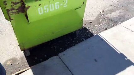 Ghislaine Houle, rue d'Ambre (Le Reflet - Vicky Girard)